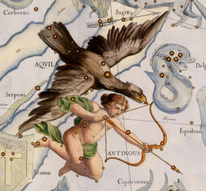 Aquila | Under the Night Sky