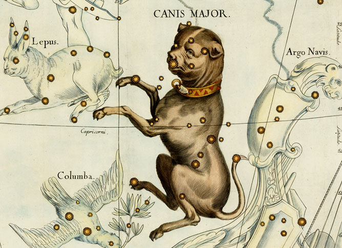 Canis Major, The Greater Dog