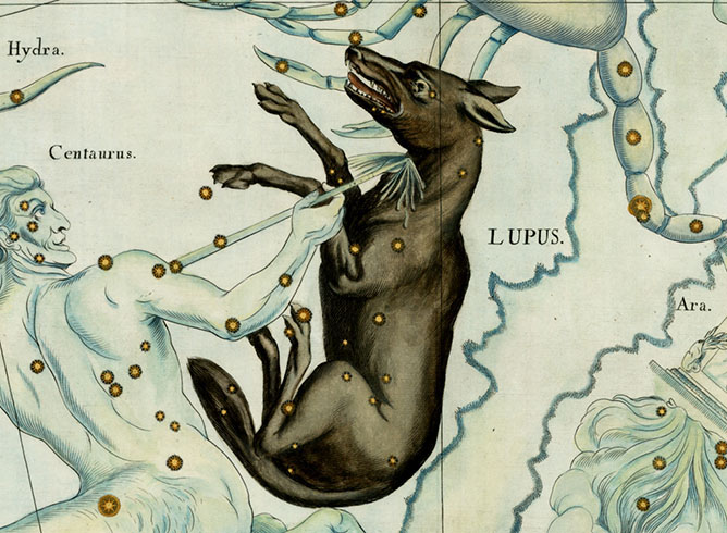 Lupus, The Wolf