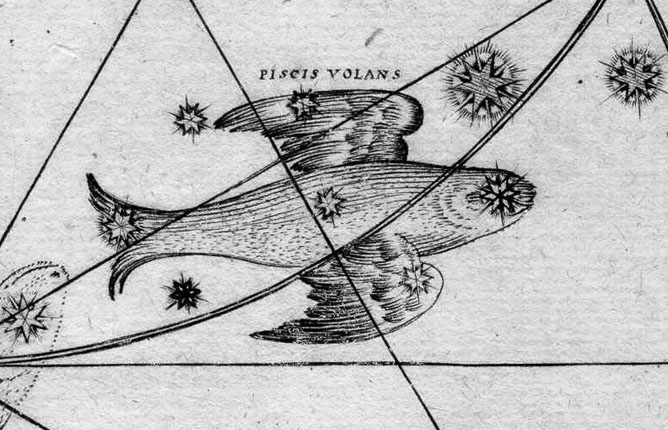 Volans, The Flying Fish